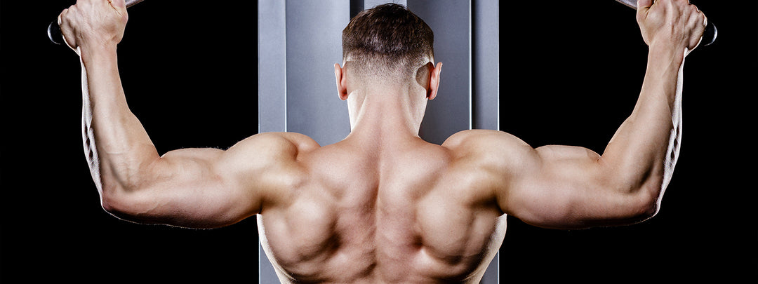 The Best Exercises for Bodybuilding for a Beastly Back