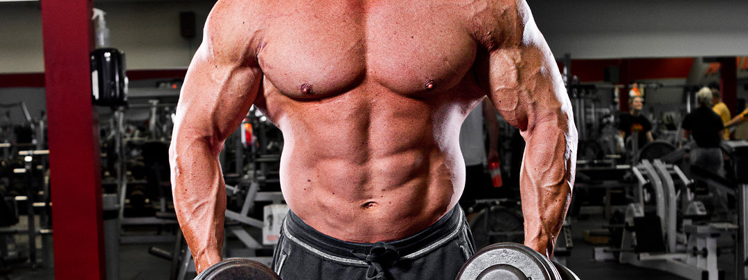 How To Bulk Up for Lean Muscle Gains