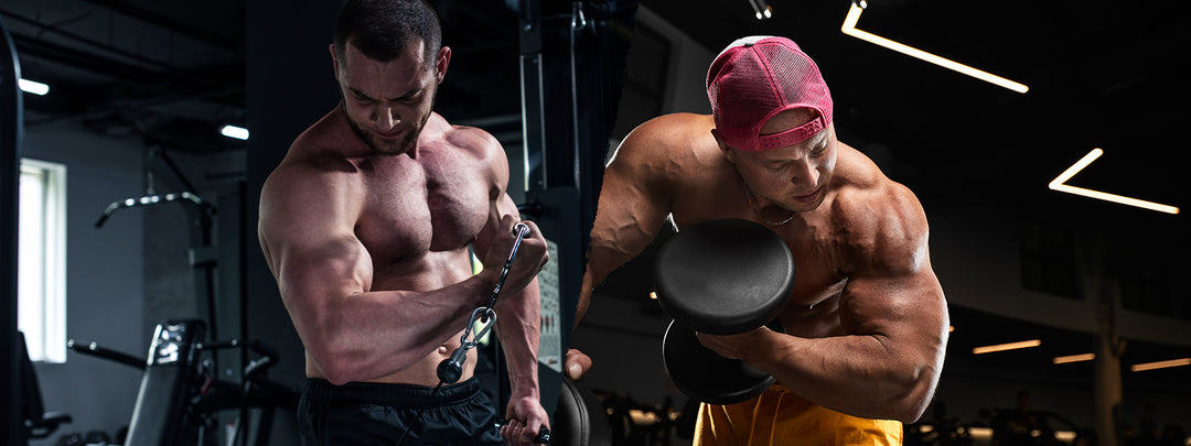 Machines vs. Free Weights: Which Is Better for Building Muscle?