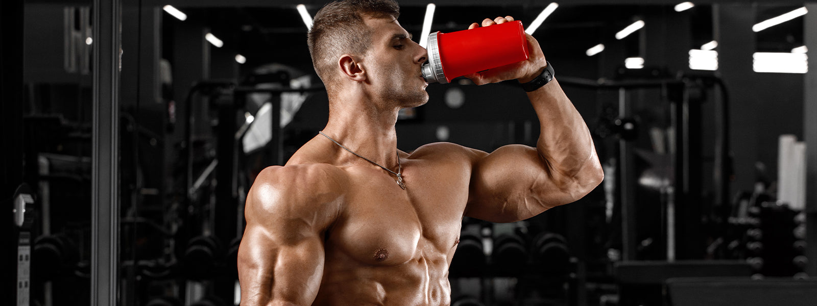 How Much Protein Do You Need a Day to Gain Muscle (And Where Should It Come From?)