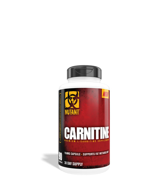 CARNITINE - Premium L-Carnitine
